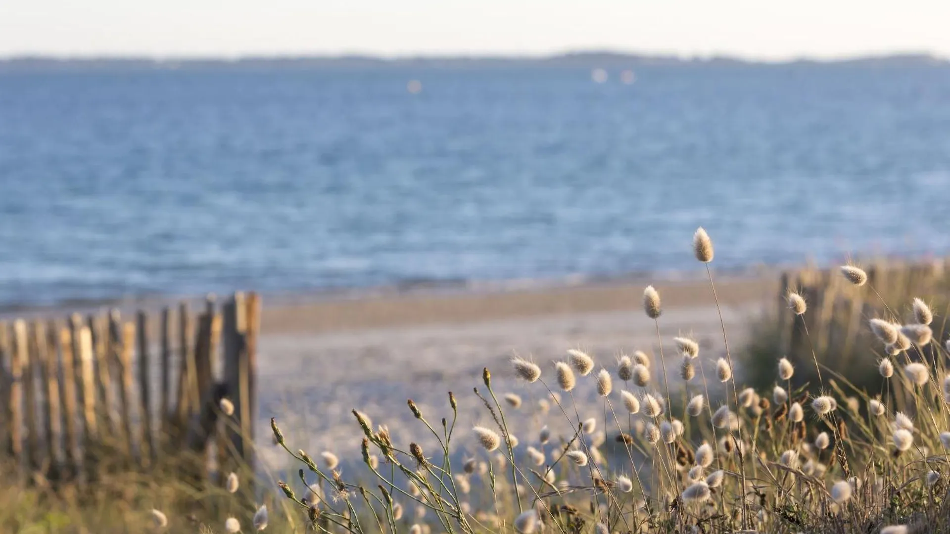 Apartament Studio La Chouetterie By Interhome Carnac Francja